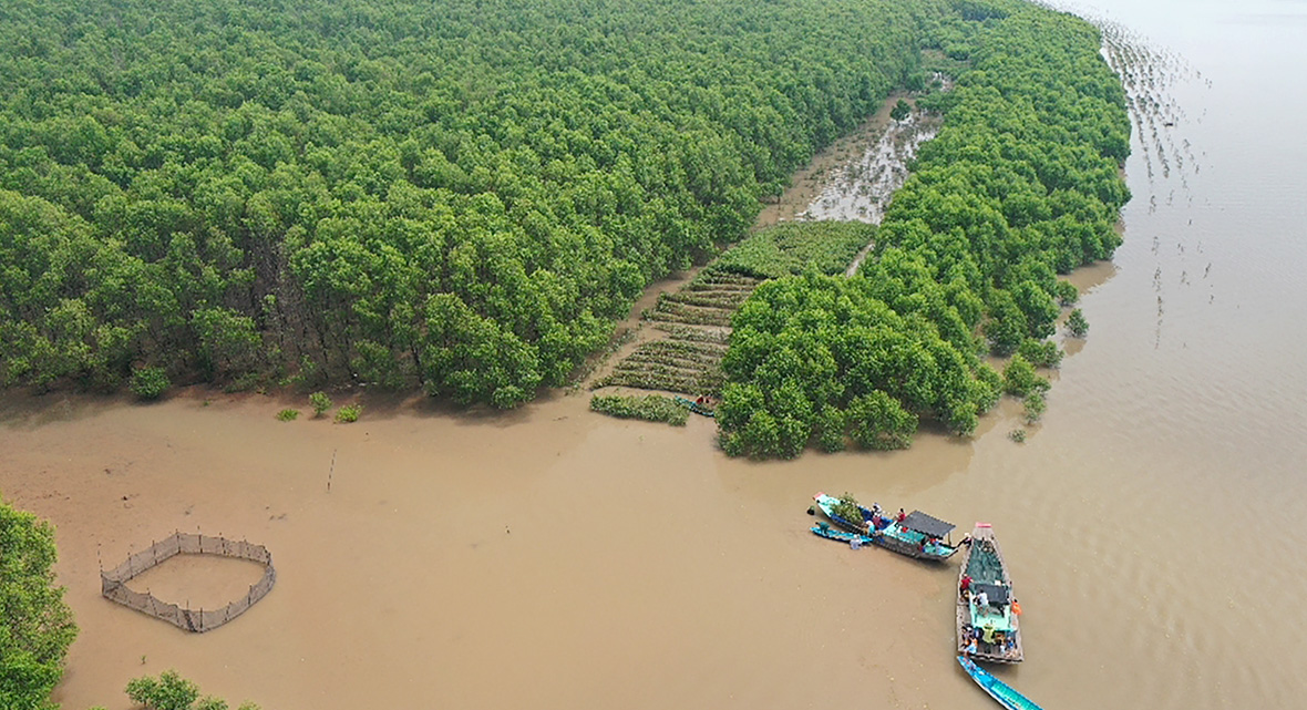 맹그로브식수_메인_1180