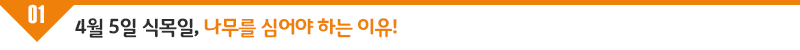 다이화분_sub_1