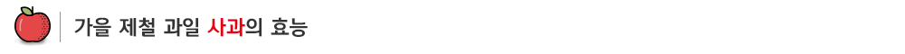 제철과일사과_sub_01