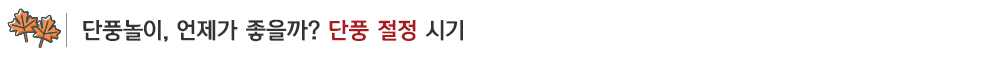 단풍시기_sub_02