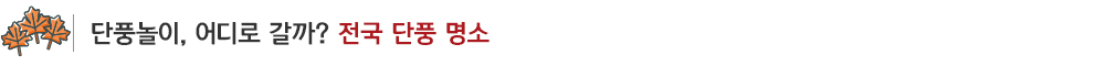 단풍시기_sub_03