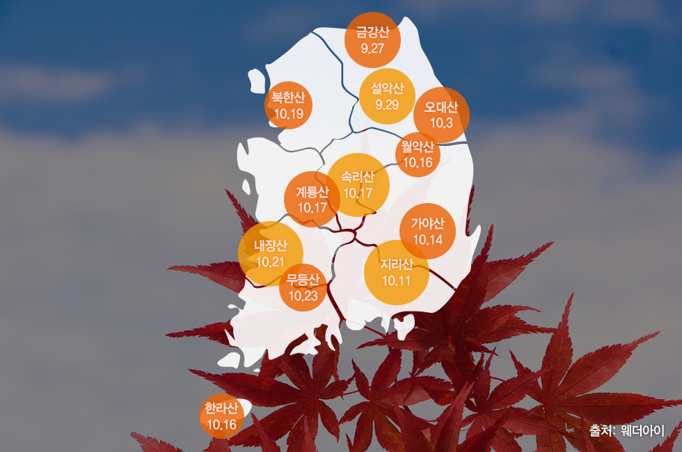 단풍시기_본문_01