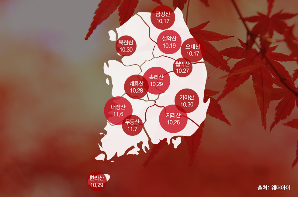 단풍시기_본문_02