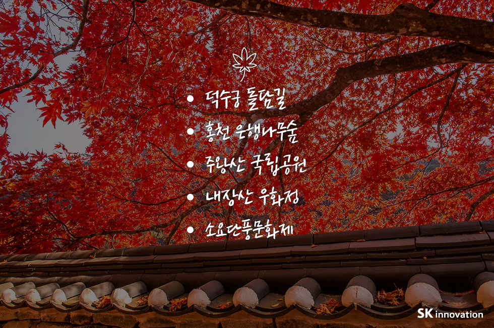 단풍시기_본문_03