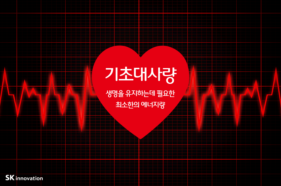 기초대사량_본문_01