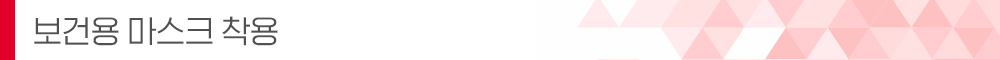 보건용마스크