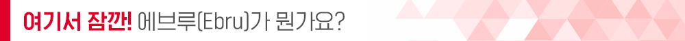 에브루가 뭔가요