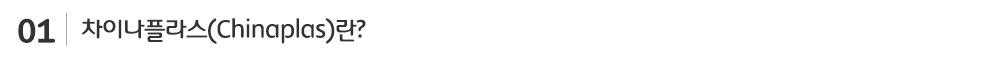 차이나플라스란