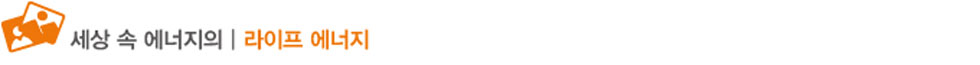 세상_라이프