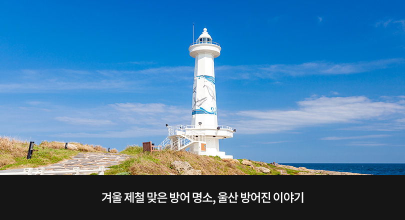 울산 방어진 이야기 메인 이미지