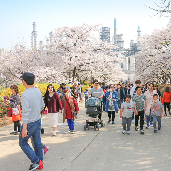 지역사회와 함께하는 2019 행복나눔 벚꽃축제
