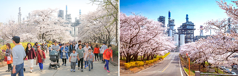 [입사 2년 차 사원이 말하는 ‘나의 SK이노베이션’②] “우수한 기업문화가 성장의 토대죠”