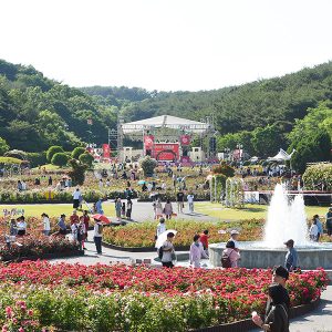 울산Complex_장미축제_메인_썸네일