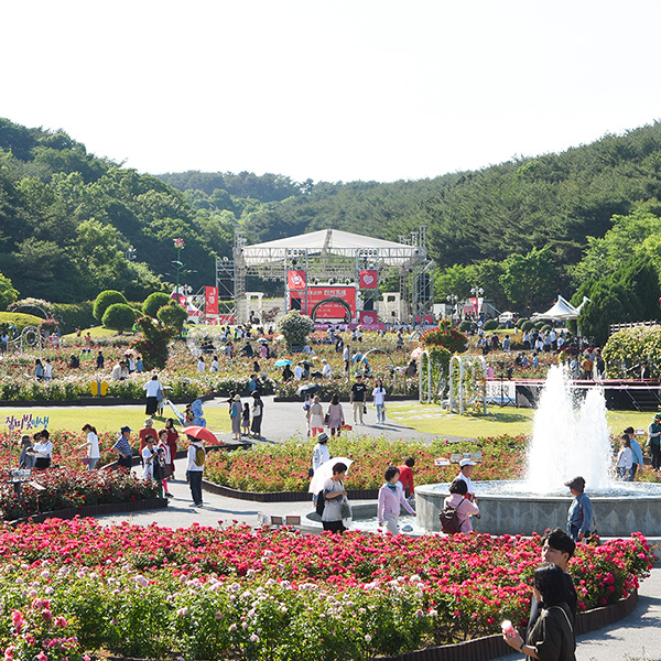 울산Complex_장미축제_메인_썸네일