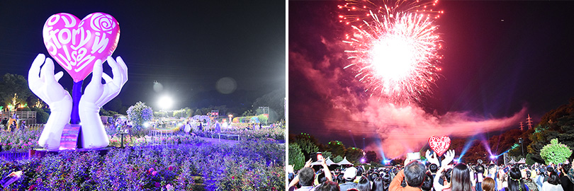 울산Complex_장미축제_이미지_3