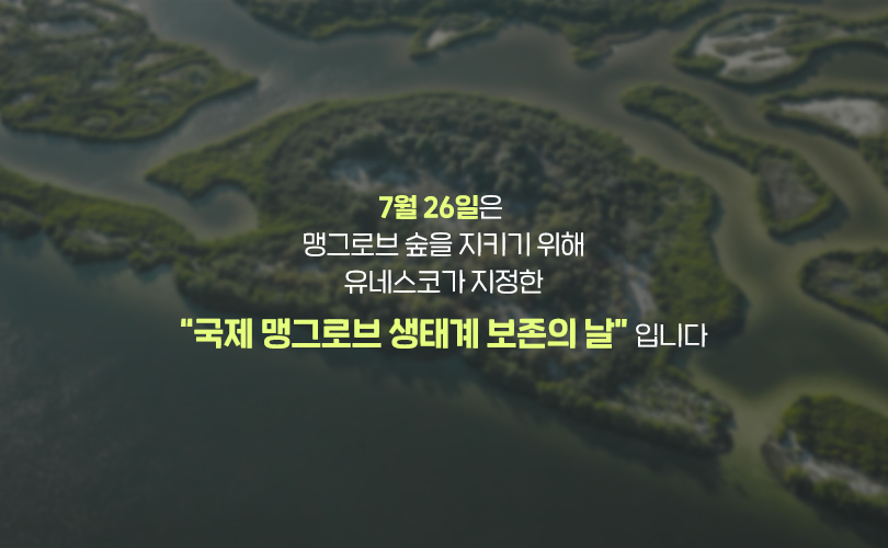 맹그로브_카드뉴스4