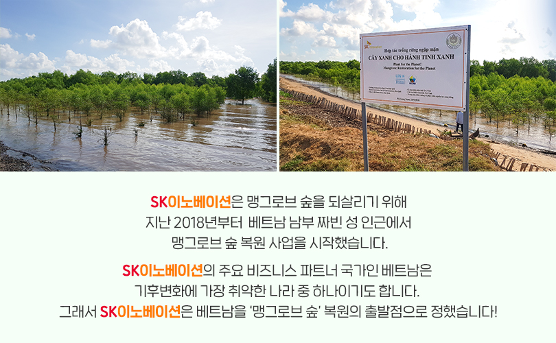 맹그로브_카드뉴스7