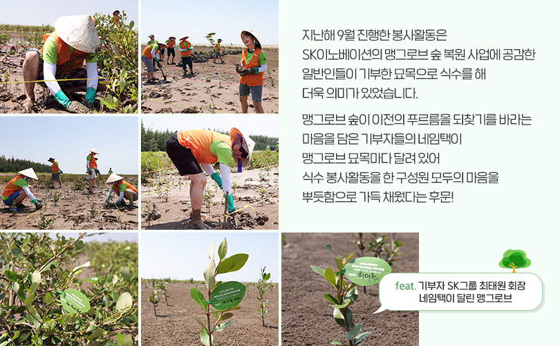 맹그로브_카드뉴스10
