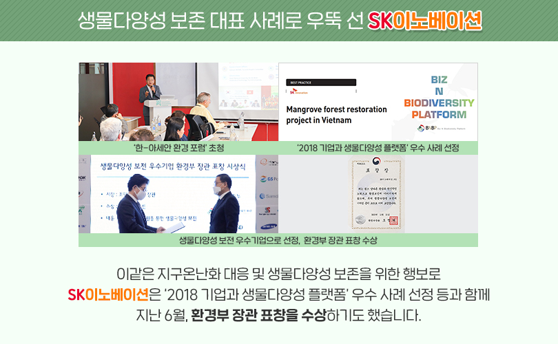 맹그로브_카드뉴스11