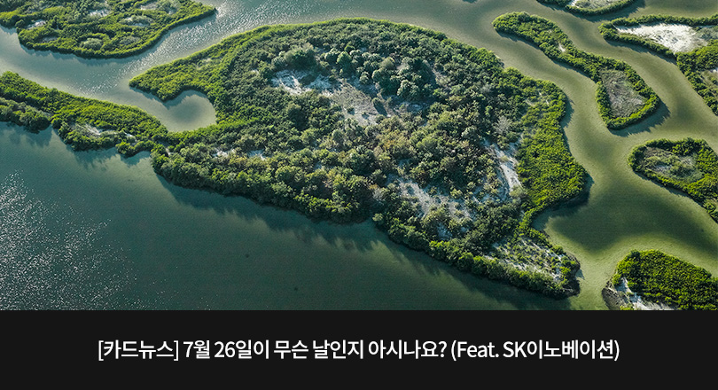 맹그로브_카드뉴스_메인