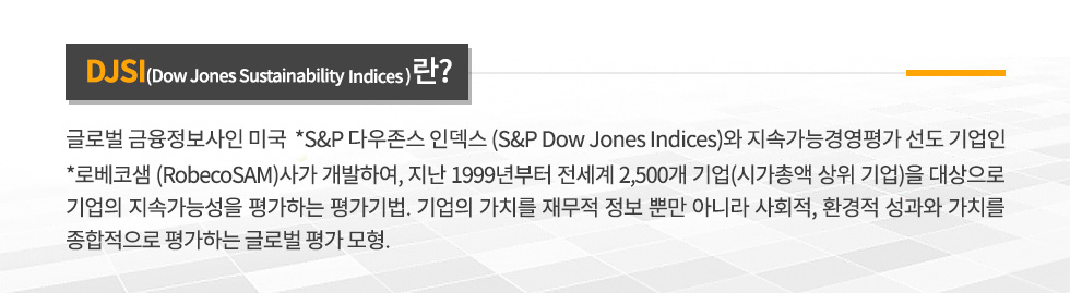 DJSI설명