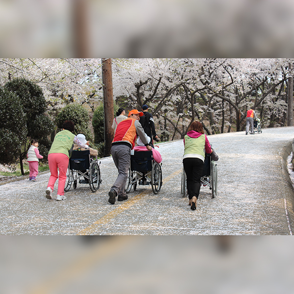 SK인천석유화학 벚꽃동산, 5년만에 개방