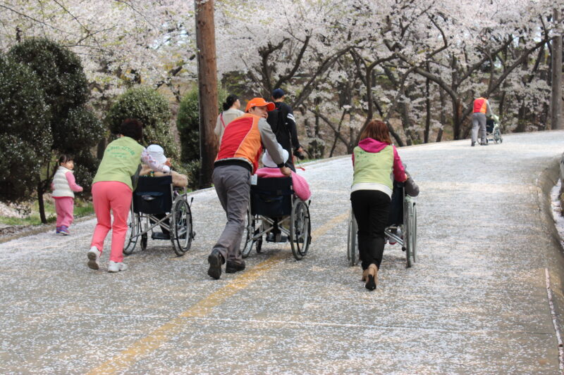 SK인천석유화학 벚꽃동산, 5년만에 개방