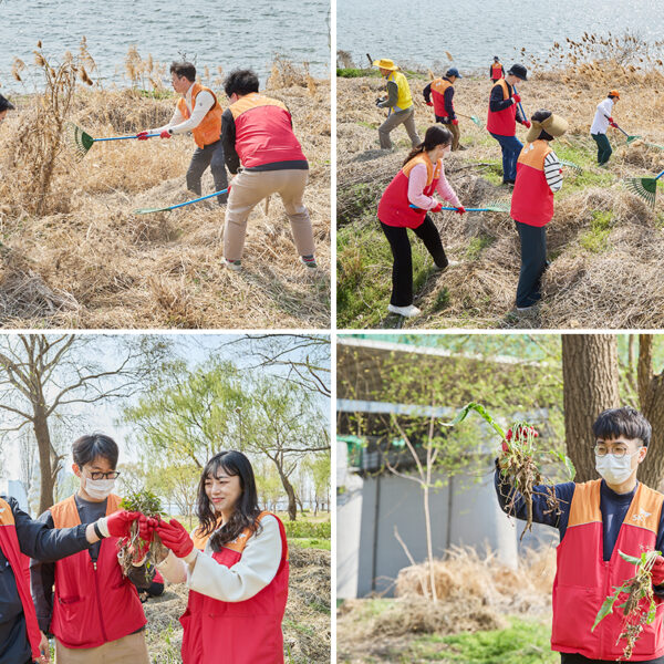 한강지킴이를 자처한 SK이노베이션 계열 구성원들이 생태계교란 식물 제거 봉사활동을 펼치고 있다.