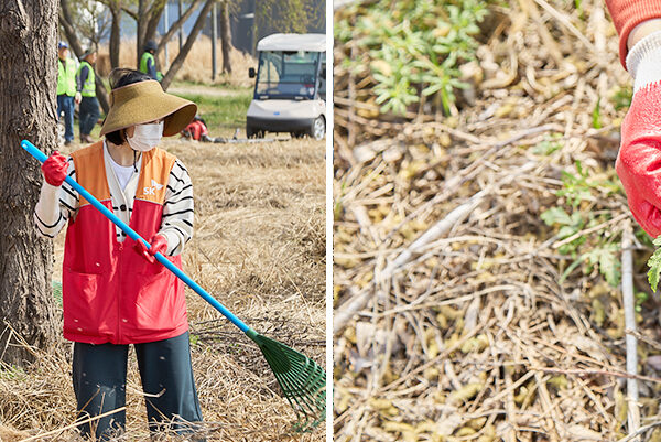 한강지킴이를 자처한 SK이노베이션 계열 구성원들이 생태계교란 식물 제거 봉사활동을 펼치고 있다.