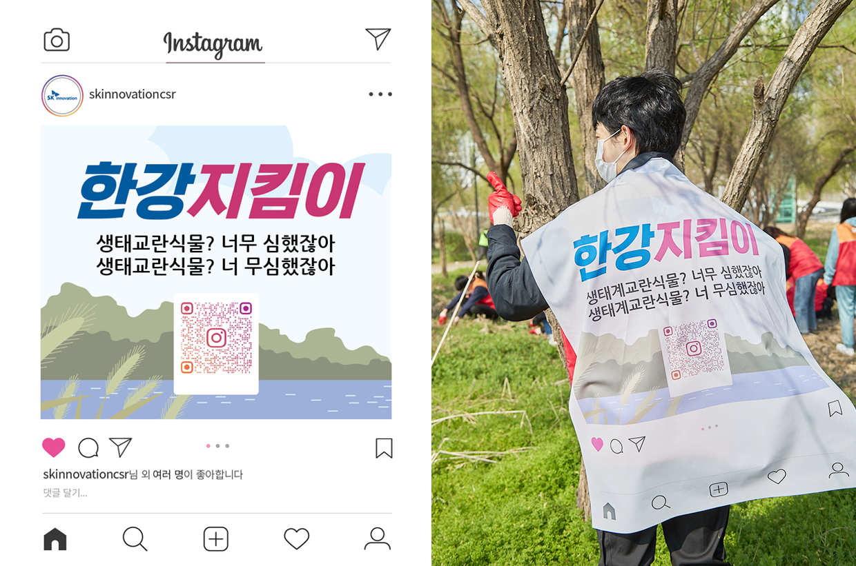 (우) 생태계교란 식물 제거 봉사활동에 참여한 SK이노베이션 계열 구성원