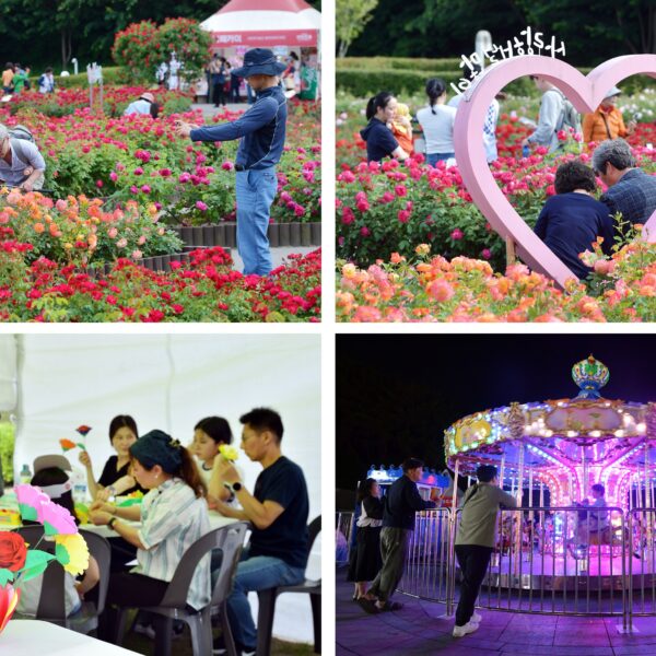 (상단) 관람객들이 울산대공원 장미원 곳곳을 관람하며 기념사진을 촬영 중이다. / (좌측 하단) 관람객들이 어린이 장미원에서 장미꽃을 만드는 중이다. / (우측 하단) 가족 관람객들이 SK광장에 마련된 회전목마를 함께 즐기고 있다.