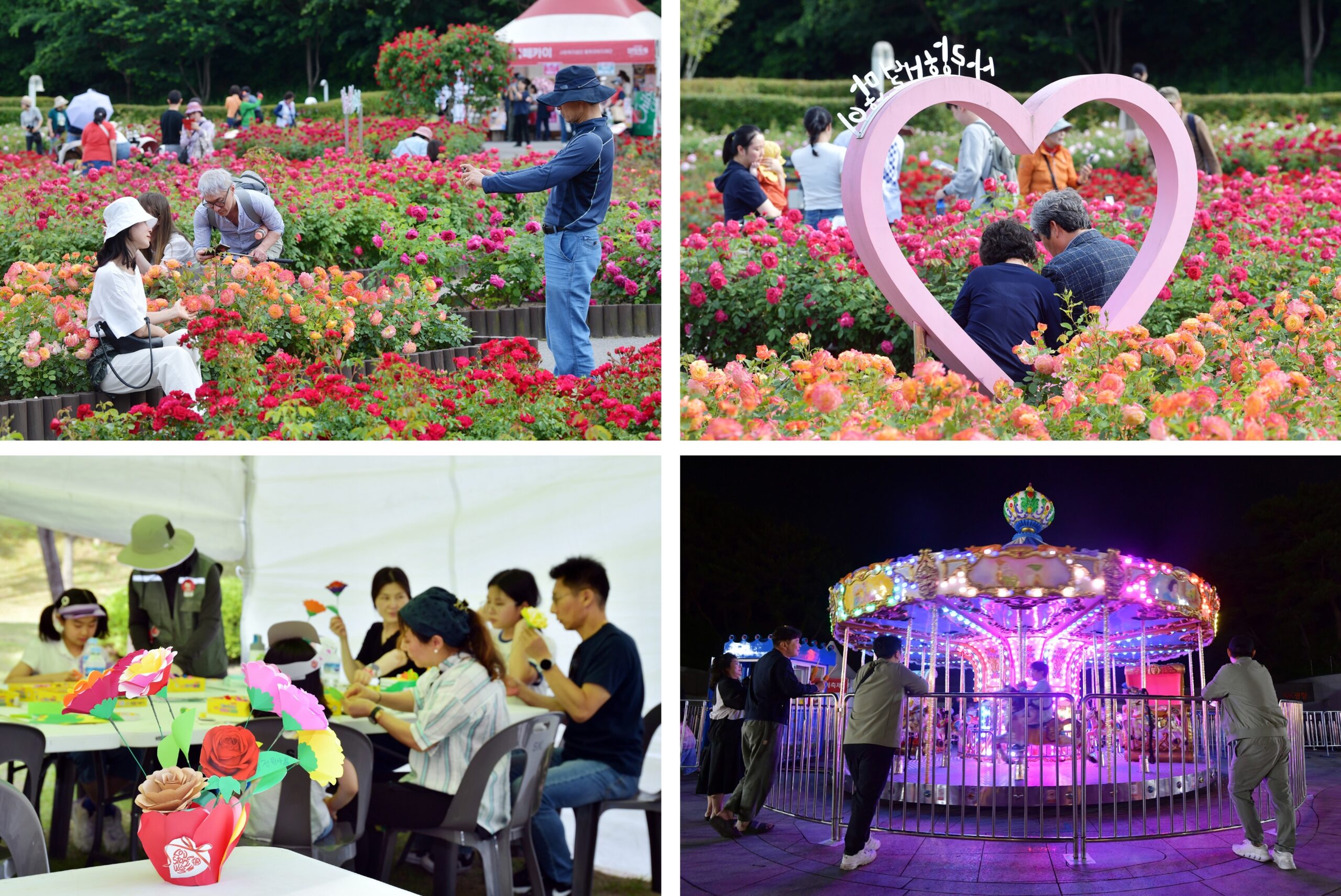 (상단) 관람객들이 울산대공원 장미원 곳곳을 관람하며 기념사진을 촬영 중이다. / (좌측 하단) 관람객들이 어린이 장미원에서 장미꽃을 만드는 중이다. / (우측 하단) 가족 관람객들이 SK광장에 마련된 회전목마를 함께 즐기고 있다.