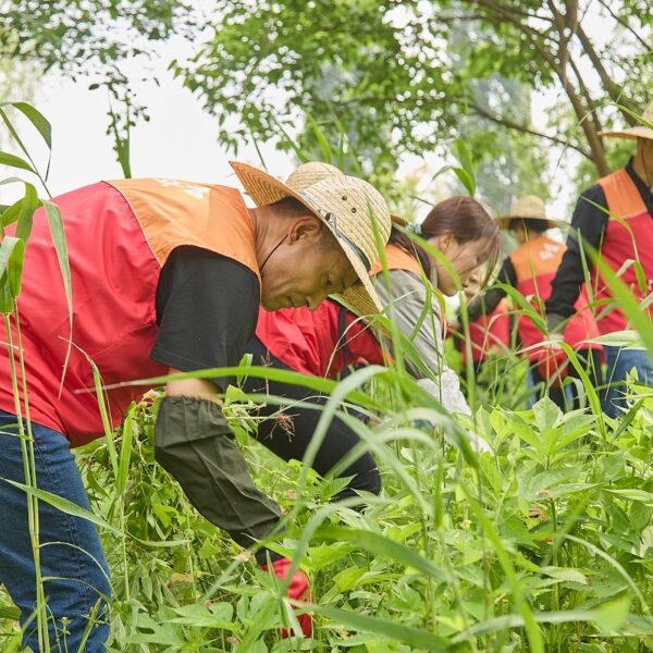 김원기 SK엔무브 사장이 구성원들과 서울 용산구 이촌한강공원에서 생태교란식물 제거에 함께하고 있다.