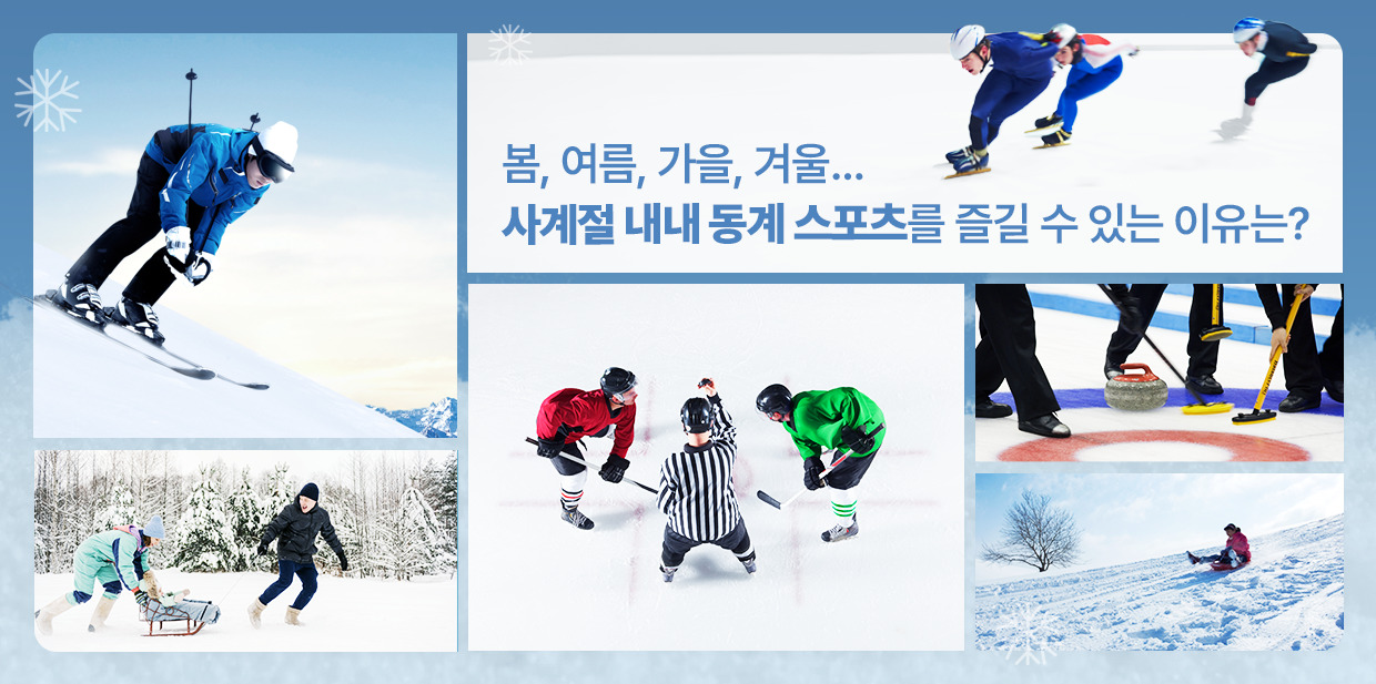 봄, 여름, 가을, 겨울… 사계절 내내 동계 스포츠를 즐길 수 있는 이유는?