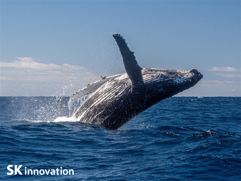 장생포역은 고래문화특구