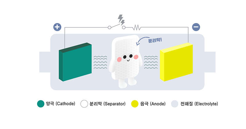 2차전지를 구성하는 4대 핵심 요소는 양극재, 음극재, 분리막, 전해질