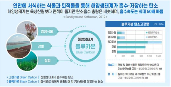 출처 : 해양수산부