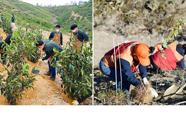 ▲ (좌) 2022년 9월, SK이노베이션 계열 구성원들이 울산 울주군 대복리에 위치한 ‘SK 울산 행복의 숲’ 조성을 위한 묘목을 심고 있다. / (우) 2022년 11월, SK이노베이션 계열 구성원들이 울산광역시 울주군 청량읍 중리 일대에서 ‘SK 울산 행복의 숲’을 조성하기 위해 산벚나무 묘목을 심고 있다.
