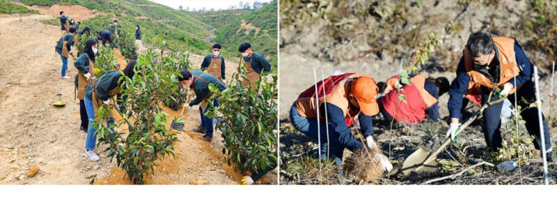 ▲ (좌) 2022년 9월, SK이노베이션 계열 구성원들이 울산 울주군 대복리에 위치한 ‘SK 울산 행복의 숲’ 조성을 위한 묘목을 심고 있다. / (우) 2022년 11월, SK이노베이션 계열 구성원들이 울산광역시 울주군 청량읍 중리 일대에서 ‘SK 울산 행복의 숲’을 조성하기 위해 산벚나무 묘목을 심고 있다.