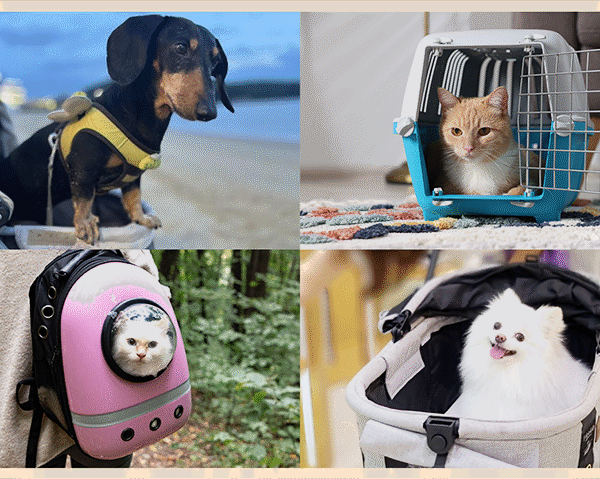 SK이노베이션 반려동물 용품과 석유화학 - 하네스, 켄넬, 이동 가방, 유모차