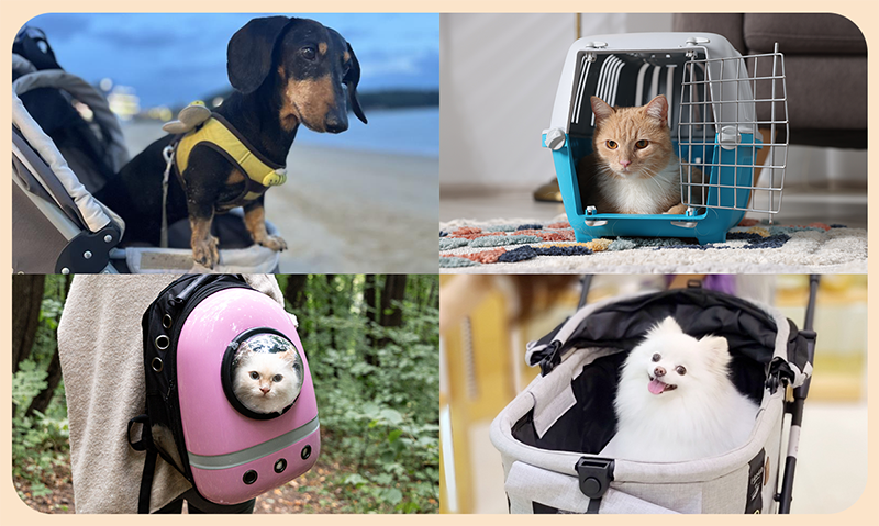 SK이노베이션 반려동물 용품과 석유화학 - 하네스, 켄넬, 이동 가방, 유모차