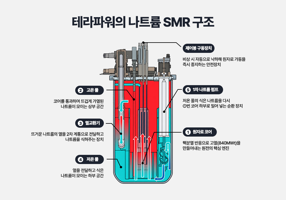 테라파워의 나트륨 SMR 구조도. 원자로 코어(1)에서 핵분열 반응으로 고온(840MWt)의 열을 만들고, 고온풀(2)의 뜨거운 나트륨이 열교환기(3)를 거쳐 저온풀(4)로 모인 뒤 1차 나트륨 펌프(6)가 다시 코어 하부로 순환시킨다. 상단 제어봉 구동장치는 비상 시 제어봉을 자동 낙하시켜 원자로 가동을 즉시 중지한다.